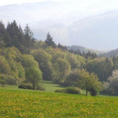 Ferienwohnung Erika Wimbach Exteriör bild